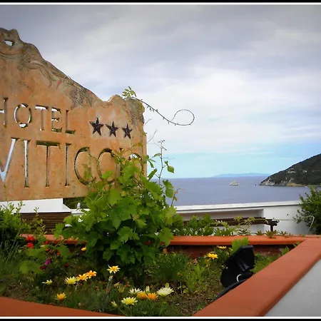 Viticcio