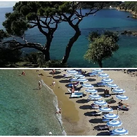Viticcio
